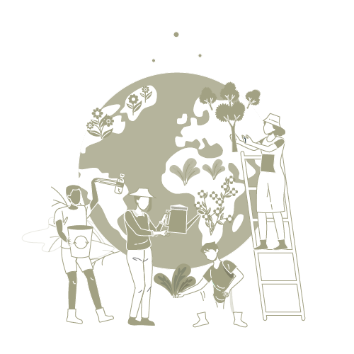 escuela de cocina ecologica