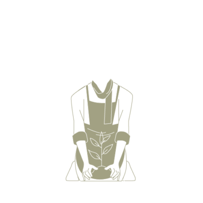 alimentos ecológicos medio ambiente