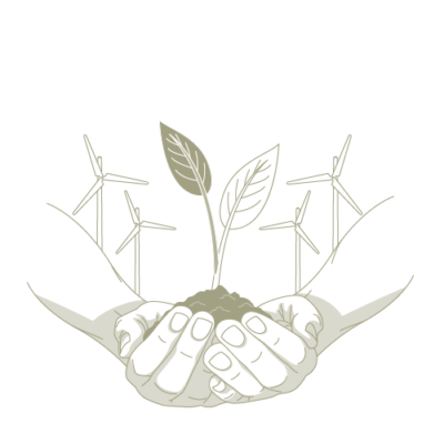 alimentos ecoloógicos sostenibles