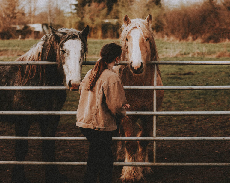 animales soberania alimentaria