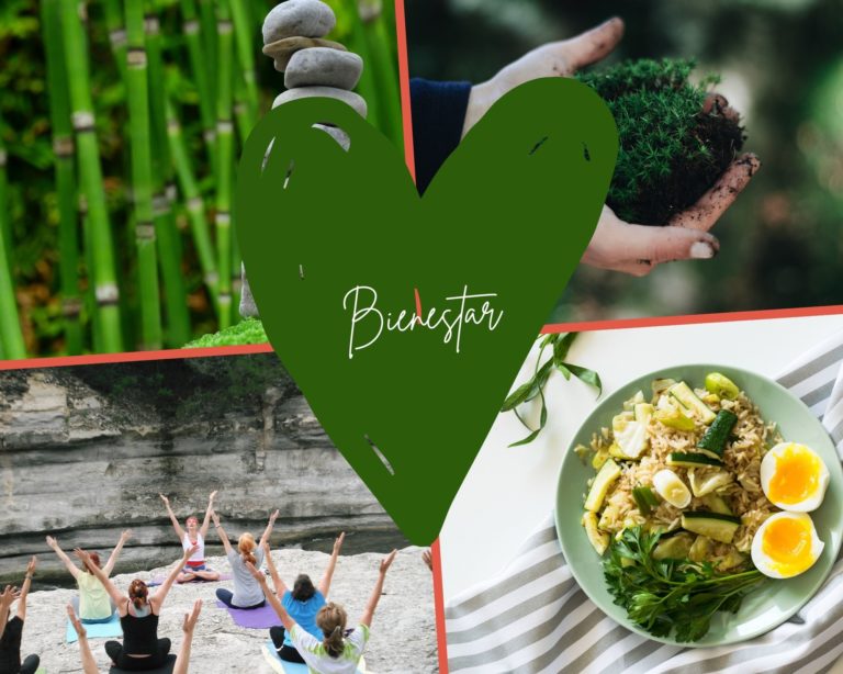 r7 motor economia circular